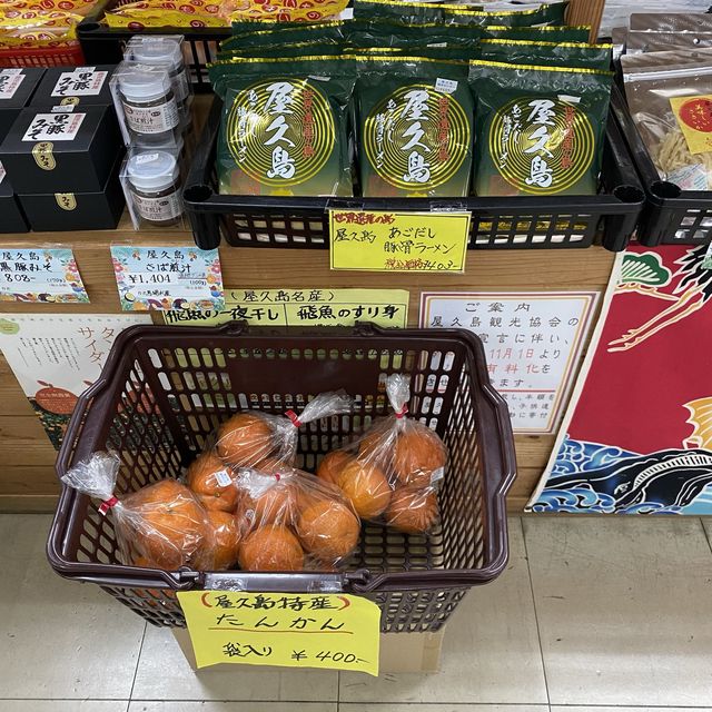 【屋久島】空港＆レストラン