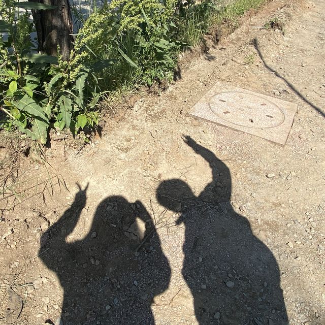 인천에서 꼭 가봐야할 산, 계양산 ⛰