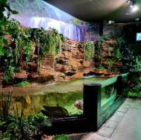 Phuket aquarium