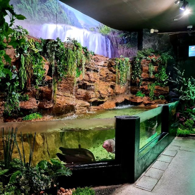 Phuket aquarium