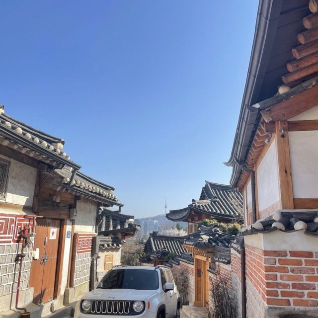 벚꽃길 산책은 청와대 앞길로 🌸
