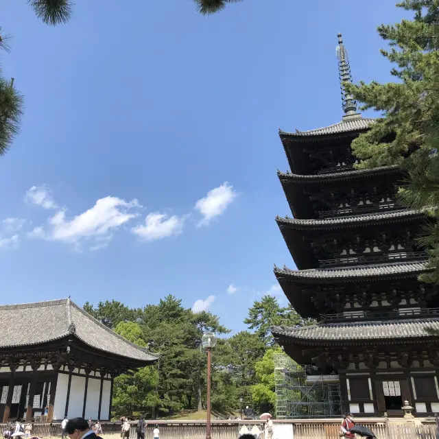 【興福寺】藤原氏の栄華。