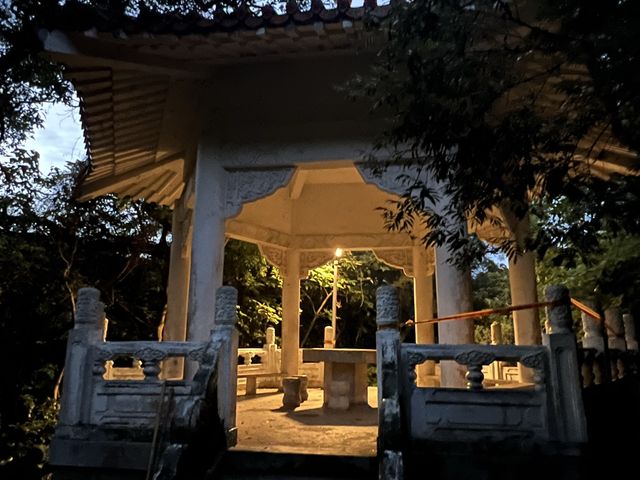 台北碧湖公園散步去｜捷運可以到～還可以順便登頂喔