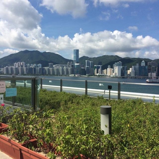 Sightseeing Hong Kong from The Cruise Terminal