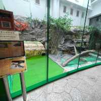 屯門公園-爬蟲館