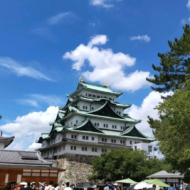 夏の名古屋城