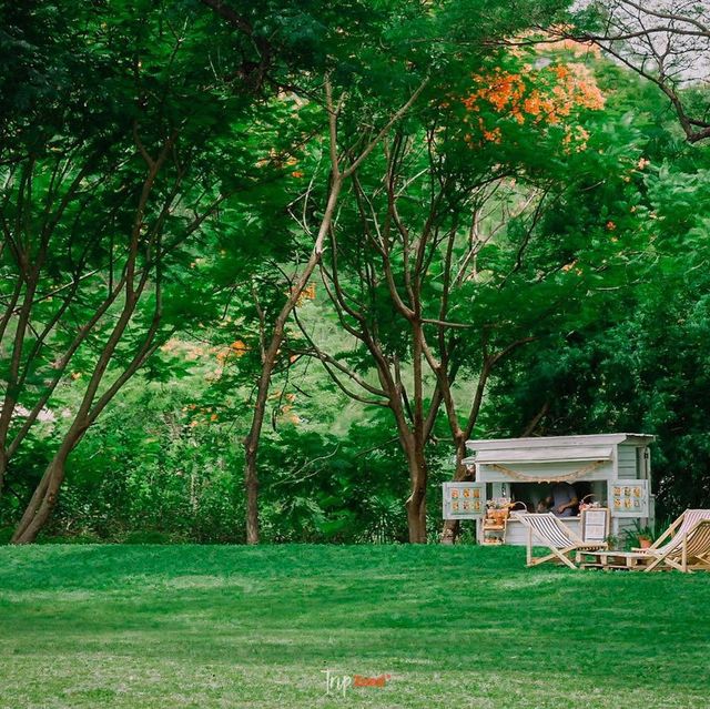 คาเฟ่ที่มีวิวสวนสวยๆ สีเขียวๆสลายตาสุดๆ