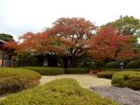 【福岡】動植物園近くの日本庭園