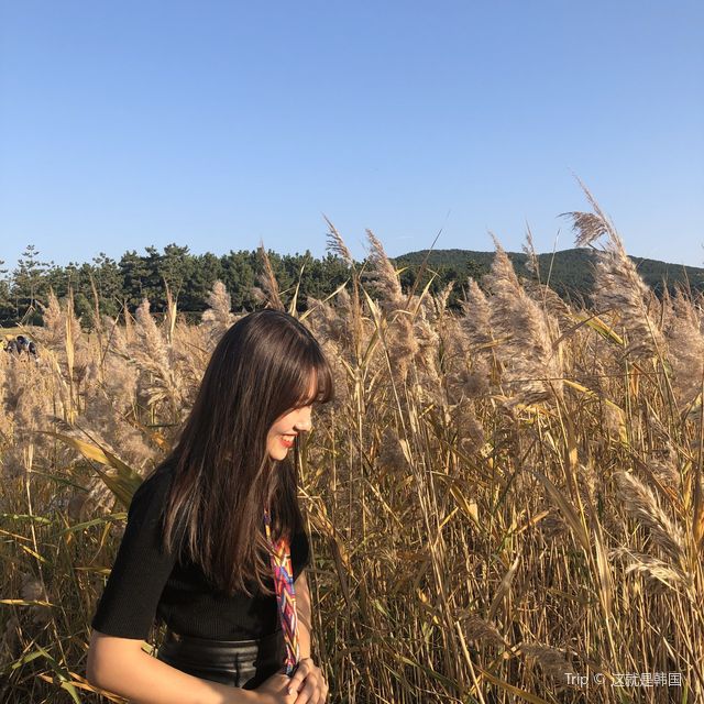 부산 노을 맛집, '다대포해수욕장'