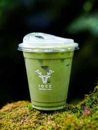 คาเฟ่โอเอซิสกลางเมือง🌿🌳