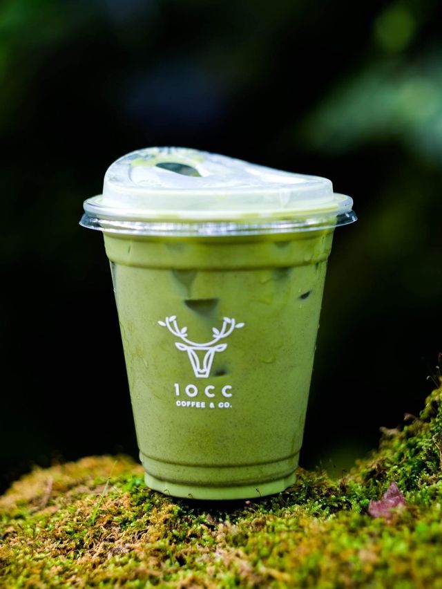 คาเฟ่โอเอซิสกลางเมือง🌿🌳