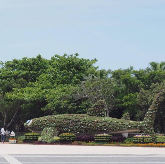 沖繩地標⚠️海洋博公園✅了解沖繩海洋歷史🔱