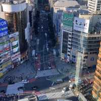 Sunset Viewing at the Shibuya Sky