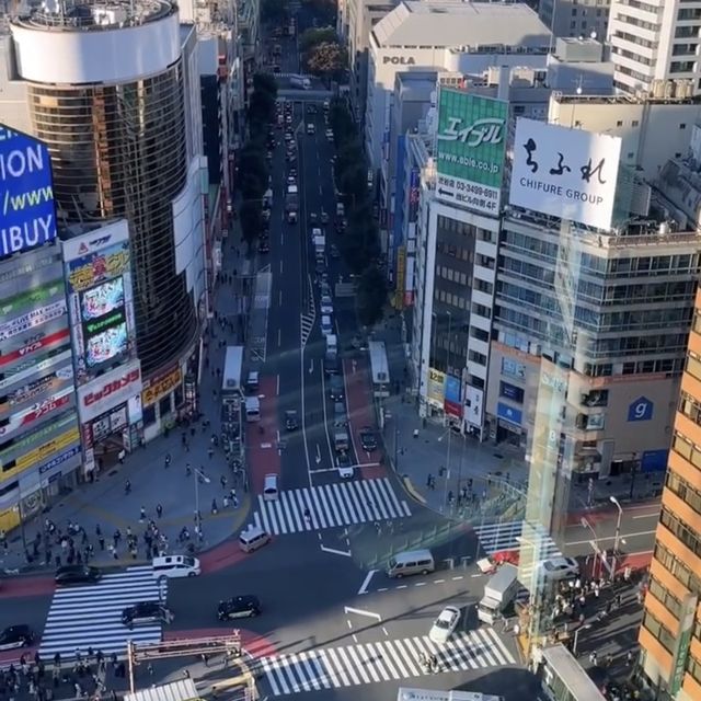 Sunset Viewing at the Shibuya Sky