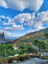 산청한방테마파크에서 좋은 기운받고 지리산의 가을 즐기기🍂🍁