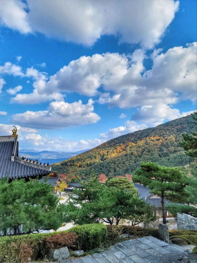산청한방테마파크에서 좋은 기운받고 지리산의 가을 즐기기🍂🍁