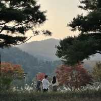 강원도 원주 추운날씨에는 실내데이트 “뮤지엄산”
