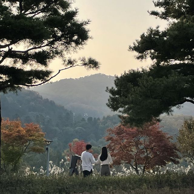 강원도 원주 추운날씨에는 실내데이트 “뮤지엄산”