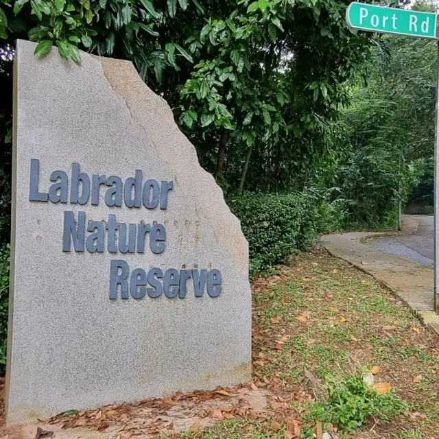 Walking scene in Labroder Park