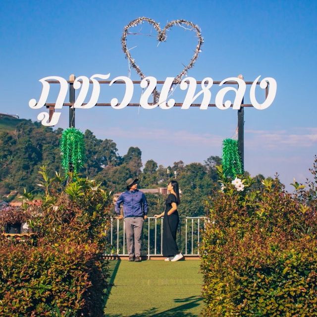 หนาวนี้ที่ ‘ภูชวนหลง’ ม่อนแจ่มดีต่อใจเสมอ 💚