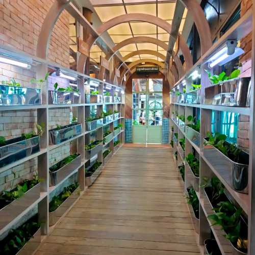 Ohkaju organic farm restaurant