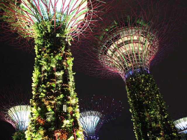 Gardens by the bay  