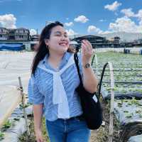 Baguio, on the Philippines’ Luzon island, is a mountain town of universities and resorts. Called the