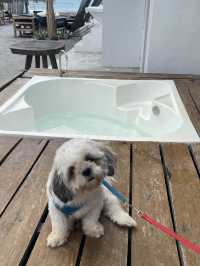 Pet-friendly Resort in Zambales!