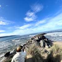 Road trip ติดอันดับโลก ที่ Great Ocean Road 