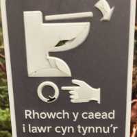 Rugby Tour to Cardiff, Wales