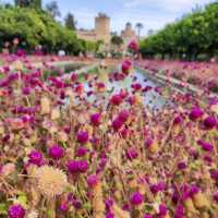 The Palace of Cordoba 