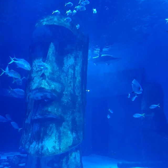 Visit to the London Sealife Aquarium 