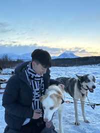 挪威🇳🇴特羅姆瑟雪橇之旅 人生必體驗