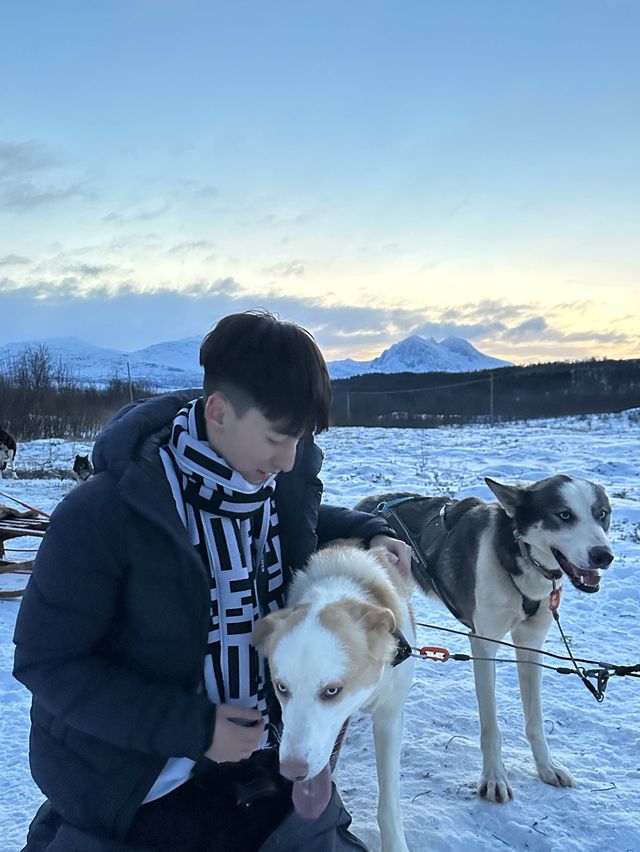 挪威🇳🇴特羅姆瑟雪橇之旅 人生必體驗