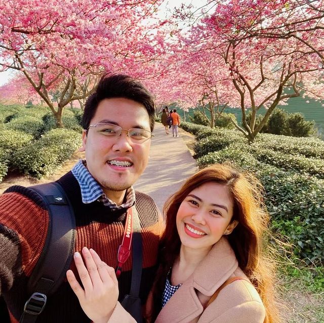 Yongfu Cherry Blossom Garden, Longyan