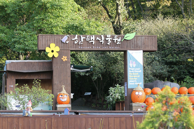 용인 한택식물원 힐링이 되는곳