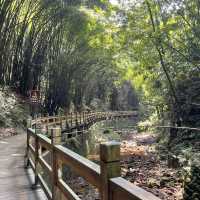 Bijia Mountain Park 