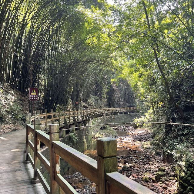 Bijia Mountain Park 