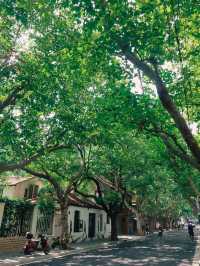 Former French Concession, Shanghai🌿🌱