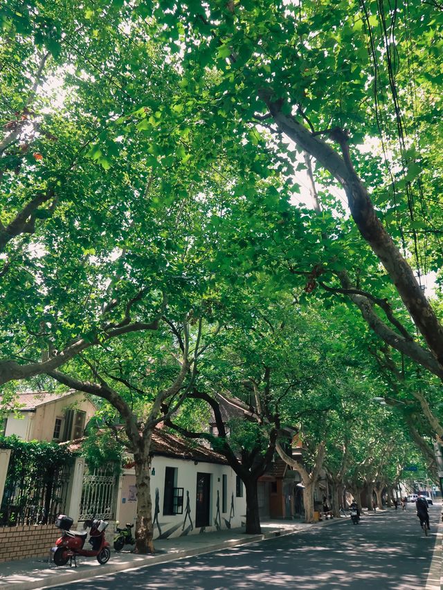 Former French Concession, Shanghai🌿🌱