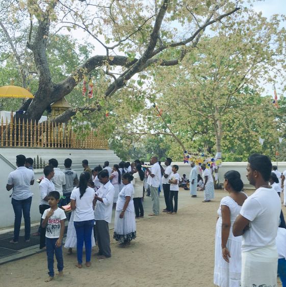 a unesco sacred city in Sri-Lanka