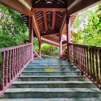 A natural oasis in the heart of Shenzhen! 