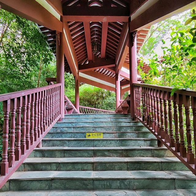 A natural oasis in the heart of Shenzhen! 