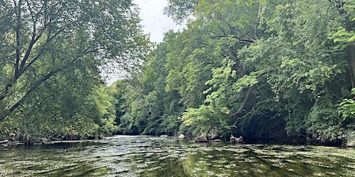Advanced Beginner’s Paddle | Blackwell Off-Leash Dog Area and Canoe Launch Lot