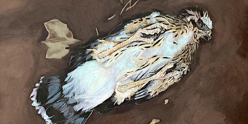 Fur, Feathers, Scales, Skin: Animal Painting in a Weekend w/Natalie Voelker | Harwood Art Center