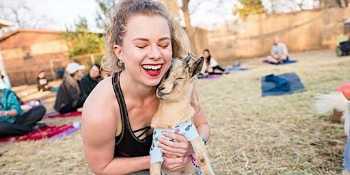 Mother's Day Goat Yoga! | The Westin Irving Convention Center at Las Colinas