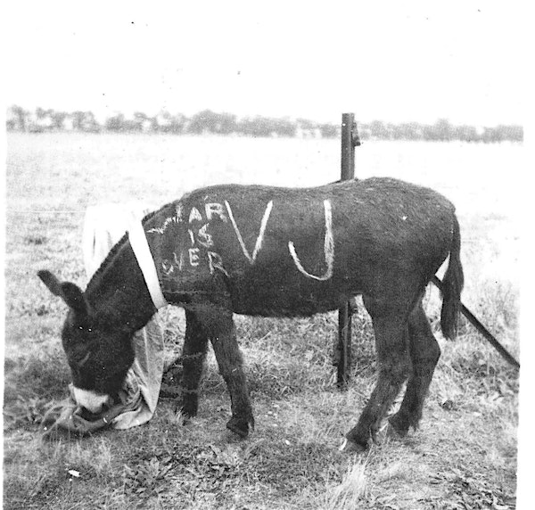 The Falcons Victory Dance | The Red Feather Club 95th Bomb Group Museum