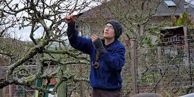 Winter Fruit Tree Pruning | Welland Legacy Park & Community Orchard