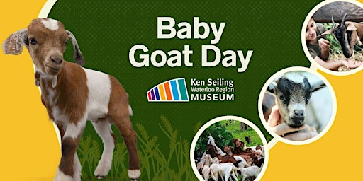Baby Goat Day! | Ken Seiling Waterloo Region Museum