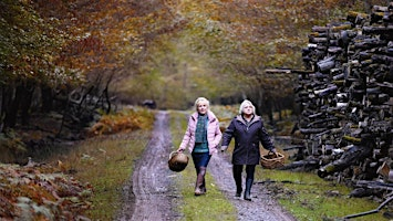 Screening of "When Fall is Coming" (2024) by François Ozon | Betts Auditorium, School of Architecture